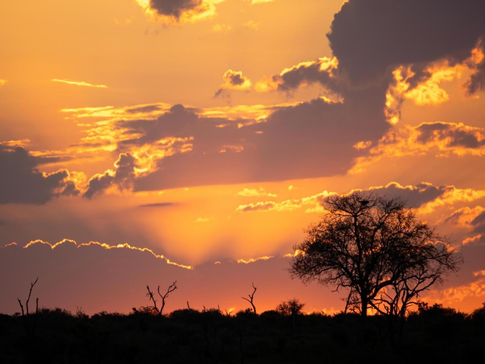 Grace Of Africa, Couples 5 Star Nature Lodge Marloth Park Exterior foto